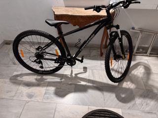 All - Mountain Cannondale 2026 trail 6