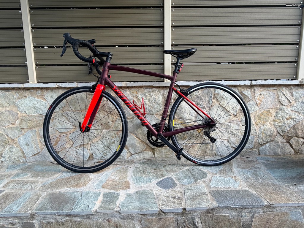 Δρόμου - Κούρσας Specialized 2021
