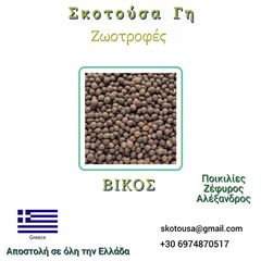 Βίκος Φαρσάλων Α' ποιότητος παραγωγής 2026