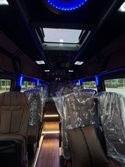 Mercedes-Benz 2022 SPRINTER 317-thumb-79