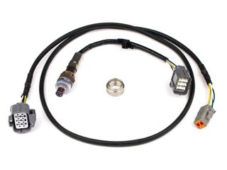 Haltech NTK Wideband hardware pack