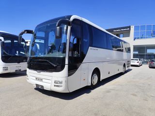 MAN 2014 Lions Coach