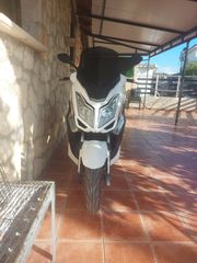 Daytona DYNETA 50e 2025