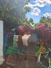 Κλούβες- τελάρα συλλογής μεταφοράς λαχανικών φρούτων