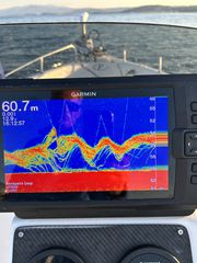 GARMIN STRIKER™ Vivid 9sv-thumb-1