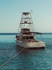 Bertram 1986 31, Silver Anniversary