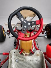 Cycle-Kart Birel ART 2019 C28-LKE 60-thumb-4
