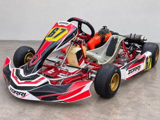 Cycle-Kart Birel ART 2019 C28-LKE 60