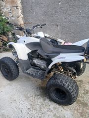 Aeon Cobra 220 2011