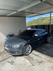 ζαντολάστιχα audi veemaan
