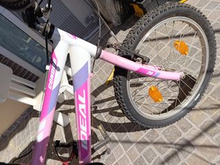 All - Mountain Ideal 2024 condor 20"