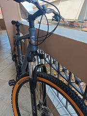 All - Mountain Sector 2026 ONE 29"