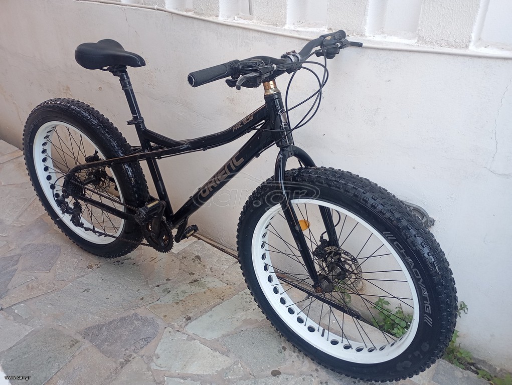 Fat Bikes Orient 2021