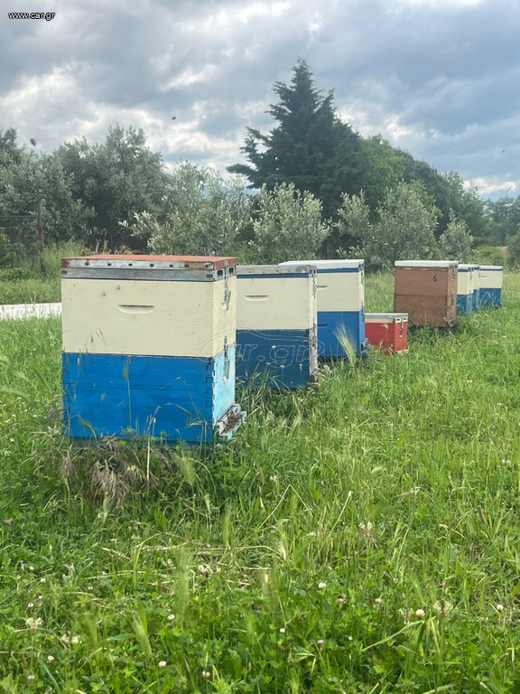 Μελίσσια προς πώληση