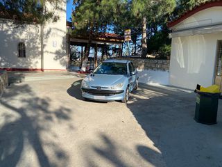 Peugeot 206 2004 COLOR LINE 1,4