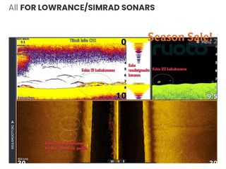 Lowerance active image 3-1-thumb-1