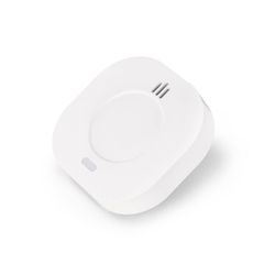 Entac Smart Ανιχνευτής Μονοξειδίου του Άνθρακα CO με WIFI TUYA