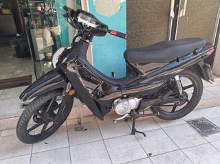Παπί 2010
