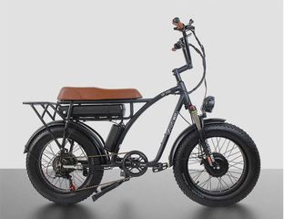 Fat Bikes 2023 Gogo best gf750