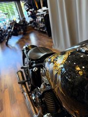 Harley Davidson Softail 2011 Black line-thumb-12