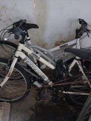 All - Mountain Bianchi 2012