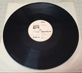 Swan – Back To The Sun 12'-thumb-2