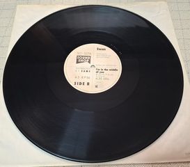 Swan – Back To The Sun 12'-thumb-3