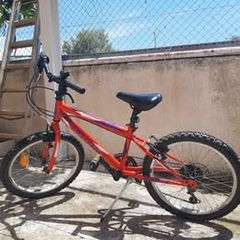 All - Mountain Matrix 2024 ACE