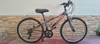 All - Mountain Energy 2019 Thunder