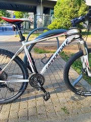 All - Mountain Cannondale 2010 trail sl 2