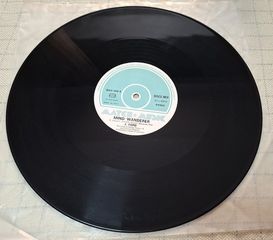 J. Ford – Mind Wanderer 12'-thumb-3