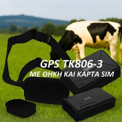 Συσκευή GPS TRACKER για ζώα με ειδική αδιάβροχη θήκη μαζί με κάρτα sim για 2 χρόνια internet και μπαταρία 10.000 mha TΚ806 -3
