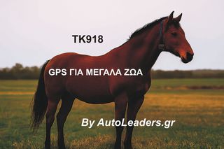 Φορητή αδιάβροχη συσκευή Gps Tracker 4G με μπαταρία 20,000 mha για μεγάλα ζώα με μπαταρία εως και 4 μήνες συνεχής λειτουργία ΤΚ918