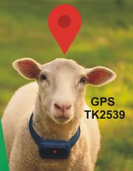 Αδιάβροχη φορητή συσκευή εντοπισμού GPS 4G με κολάρο Gps tracker για πρόβατα , κατσίκια και κατοικίδια 3.000 mha TK 2539