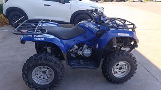 Sym QUAD Raider 600 2009-thumb-6