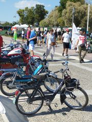 Solex 1964 3300