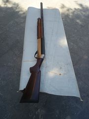 benelli raffaello crio