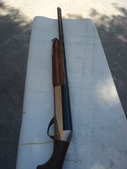 benelli raffaello crio-thumb-1