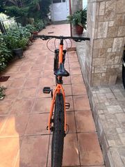 All - Mountain Scott 2024 aspect 950-thumb-3