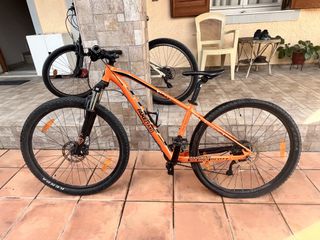 All - Mountain Scott 2024 aspect 950-thumb-4