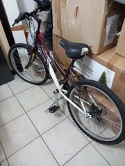 Πόλης Carrera 2006