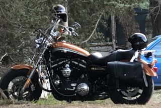 Harley Davidson 1200 Custom 2015 sportster special edition-thumb-1