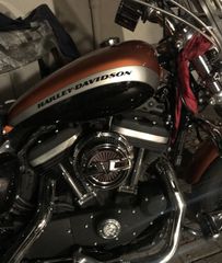 Harley Davidson 1200 Custom 2015 sportster special edition
