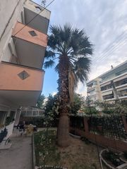 Φοίνικας 9 μέτρων-thumb-2