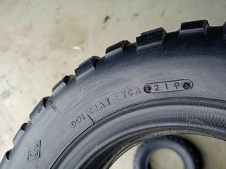 350-8 TEMAXIA 2 DOT1219-thumb-4