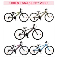 All - Mountain Orient 2026 Snake-thumb-1