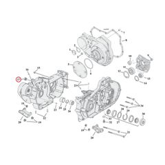 Clear plastic plug, short-thumb-3