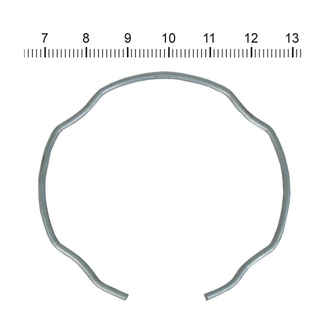 James, retaining ring for fork seal