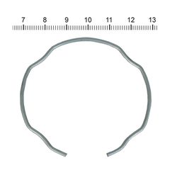 James, retaining ring for fork seal