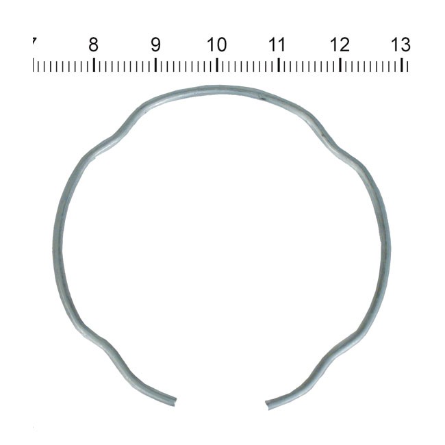 James, retaining ring for fork seal